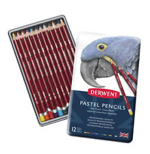 Derwent Professionnel Pastel Crayons 12 Boite Ensemble De Couleurs Assorties