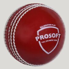 Sg Cricket Ball Rouge Prosoft Noyau SynthÉtique Qualité Outdoor Couture...