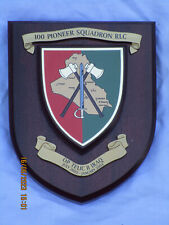 100 Pioneer Squadron, Rlc , Op Telic Ii, Irak, Juillet 2003-januray 2004, Blason