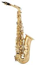 A&s Arnolds & Sons Vieil Saxophone Aas-100