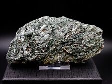 Actinolite - Tyrol, Autriche - 12,5 X 6 Cm - 380 G