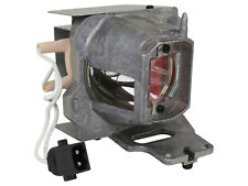 Codalux Lampe Vidéoprojecteur Pour Optoma Sp.7fm01gc01, Bl-fu245a, Philips Ampou