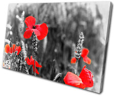 Floral Red Poppys Single Toile Murale Art Photo Print