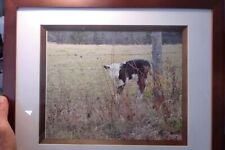 Horizontal Home Decor Wall Sign Calf Early Winter In Vt. Art Picture Frame