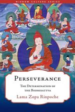 Perseverance: The Détermination De Bodhisattva ( Wcs ) Par Zopa ,mcdougall -