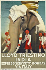 Plaque Alu Deco Repro Affiche Lloyd Triestino India Bombay Via Italy Elephant