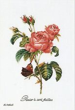 Thea Gouverneur 2030a Roses Redouté Aïda Broderie Point De Croix Compté 