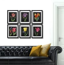 Tulips Wall Decor Botanical Illustrations Set Of 6 Unframed Prints Gift For Mom