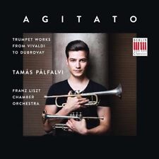 Vivaldi / Erickson / Dubrovay Tamas Palfalvi - Agitato (cd)